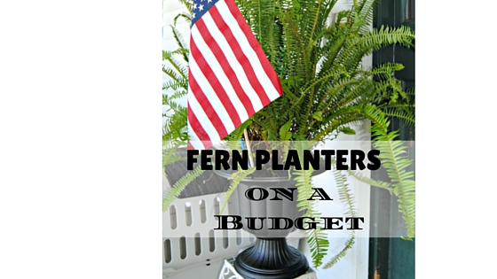 Fern Planters on a Budget